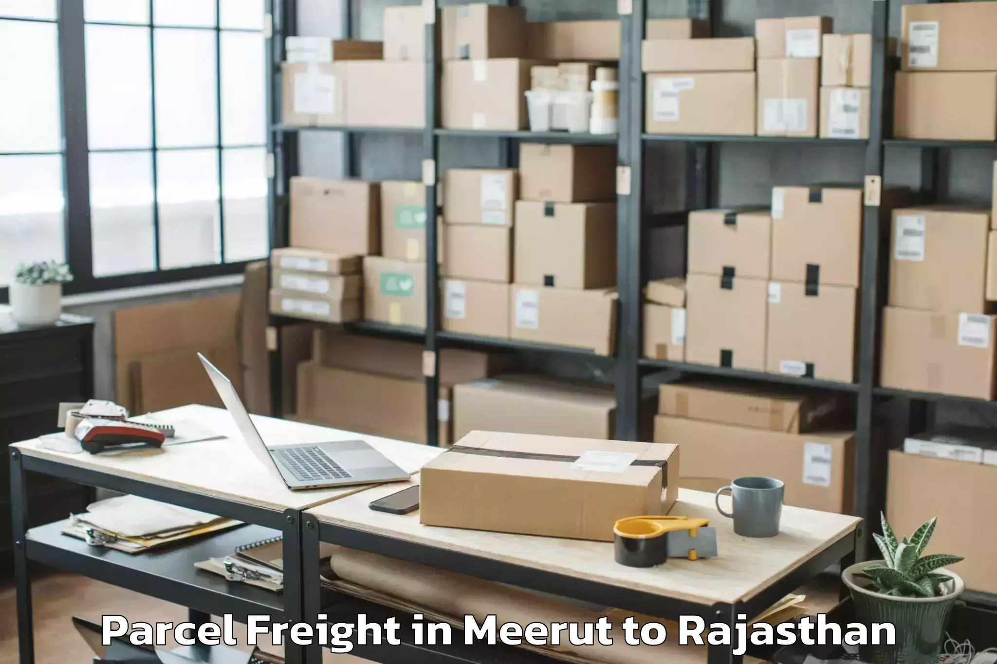 Easy Meerut to Udpura Parcel Freight Booking